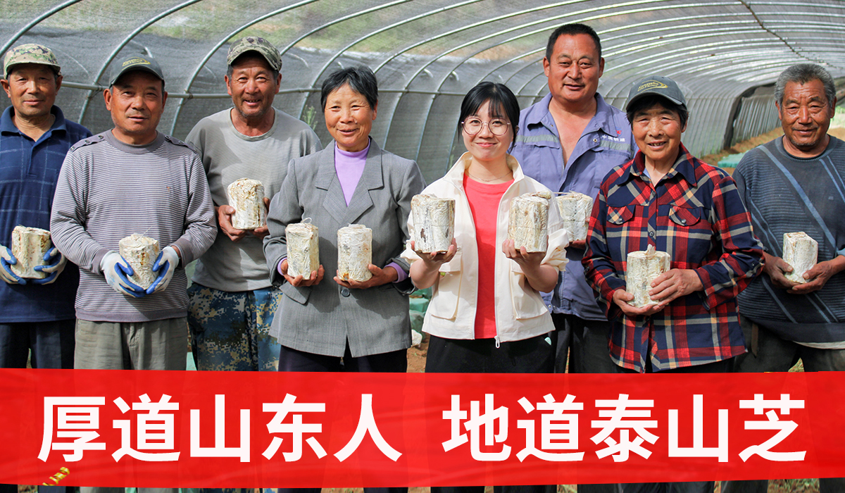 灵芝孢子粉一吃吃多少？主要看有效成分含量