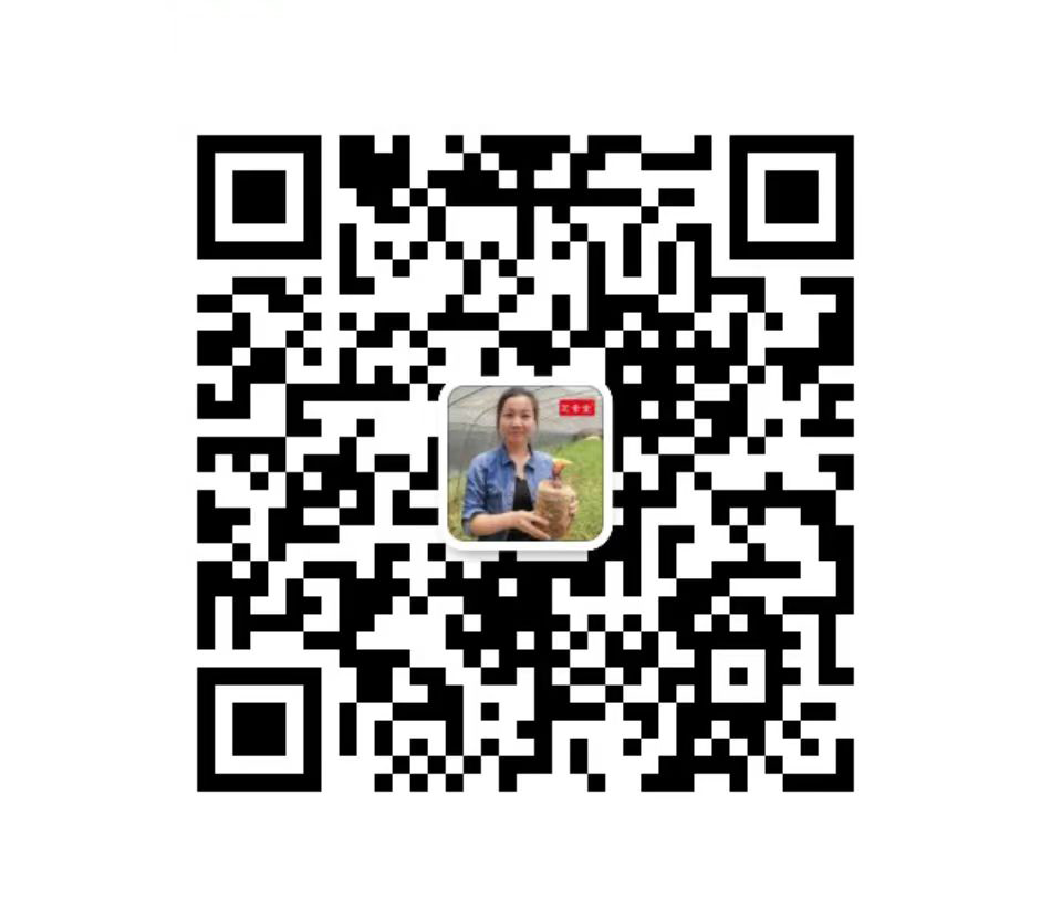 扫描二维码关注我们