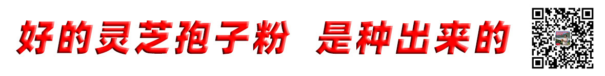 泰山灵芝集团